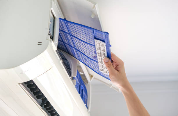 Best Air Duct Mold Removal  in Winder, GA
